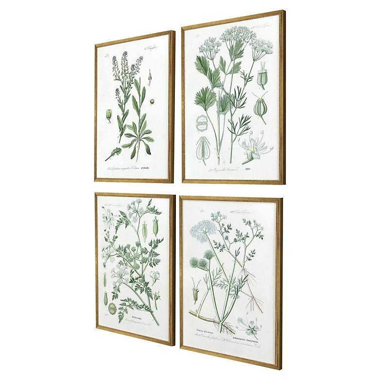Image 5 Assemblage 25" High 4-Piece Giclee Framed Wall Art Set more views