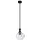 Astor 8" Wide Matte Black Metal Stem Hung Mini Pendant With Seedy Shade