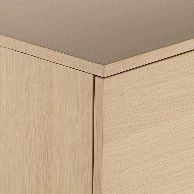 Image 6 Astoria 2-Door Modern Cabinet with Bronze Flower Door Pulls more views