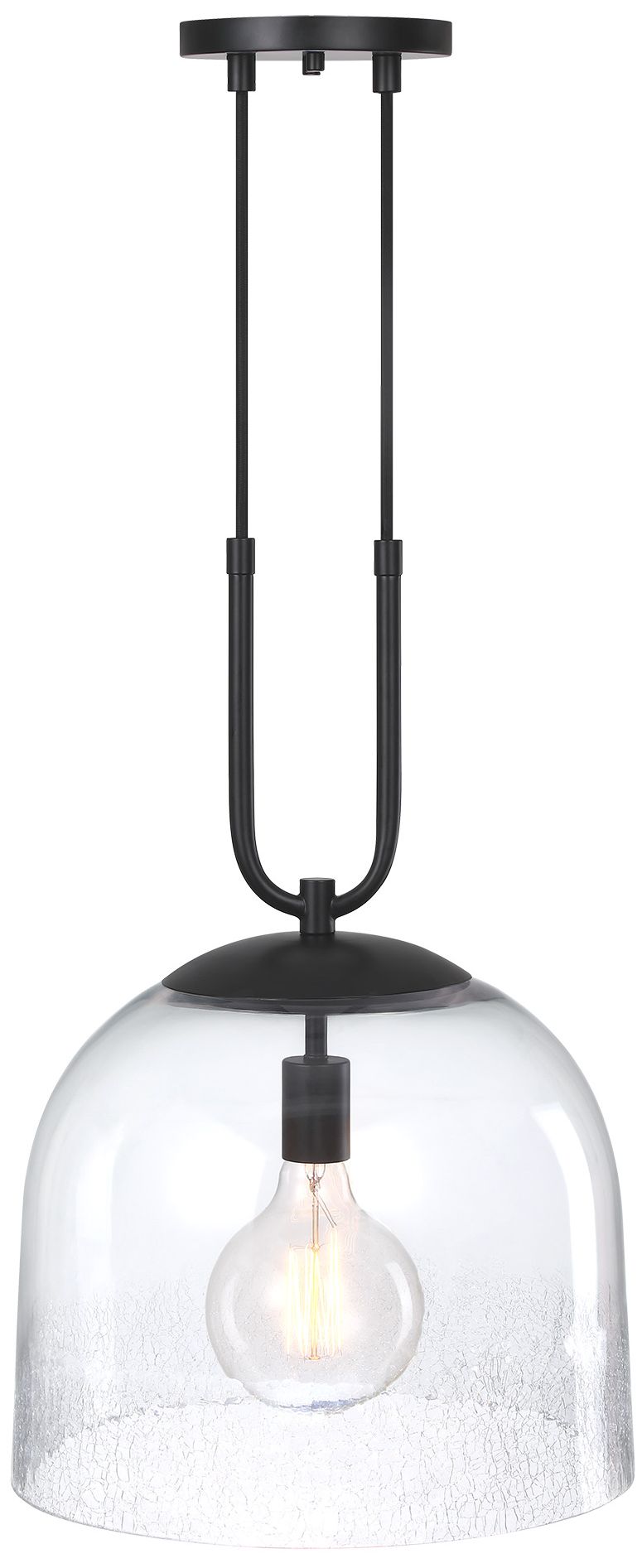 Astra 60 Watt 1-Light Matte Black Down Pendant Light with Glass Shade