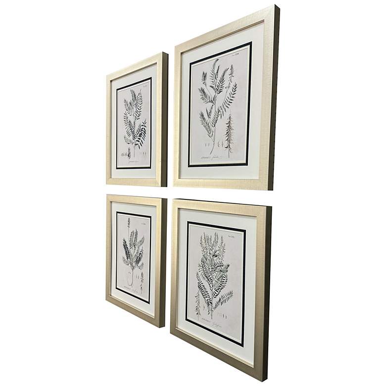 Image 2 Astragalorum 21"W x 26"H Framed Art Set of 4 more views