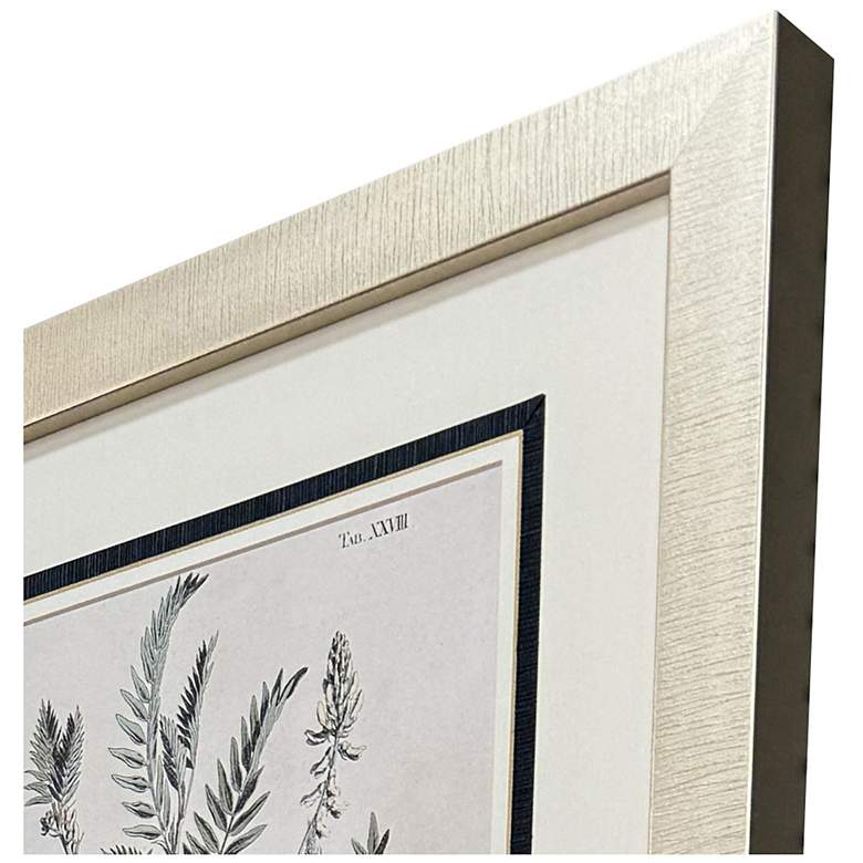 Image 3 Astragalorum 21"W x 26"H Framed Art Set of 4 more views