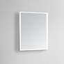 Astral 24" x 32" Rectangular LED Lighted Vanity Wall Mirror