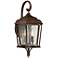 Astrapia II 19 3/4" High Rubbed Sienna Outdoor Wall Light