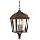 Astrapia II 24" High Rubbed Sienna Hanging Outdoor Light