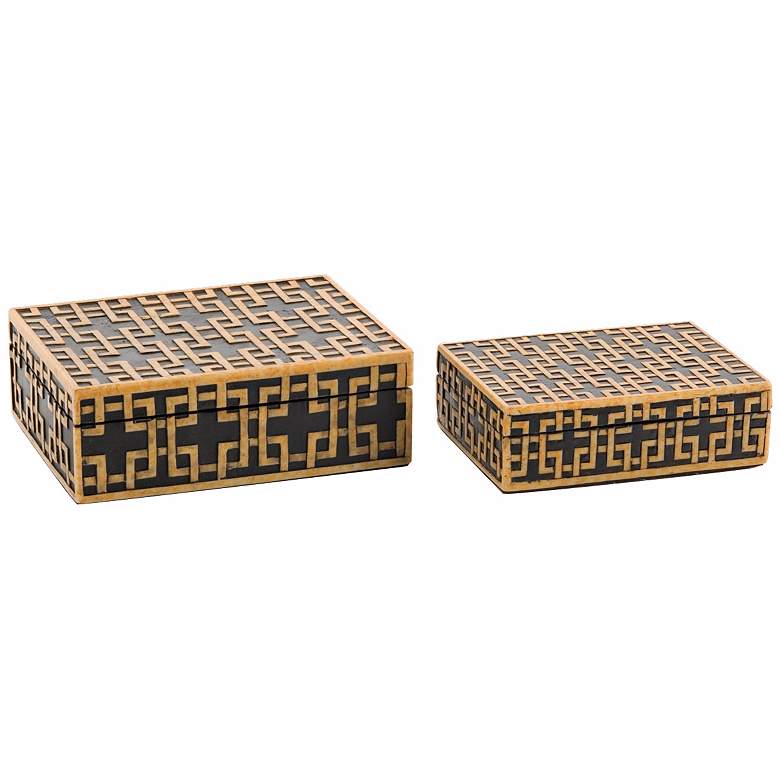 Image 1 Athena Set of Two Resin Boxes