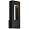Atlantis 16"H Black and Frosted Glass LED Outdoor Wall Light