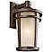 Atwood 18" High Energy Efficient Outdoor Wall Light