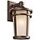 Atwood Collection 14 1/2" High Outdoor Wall Light