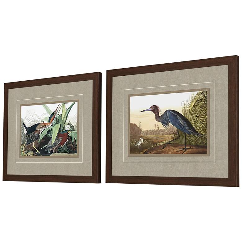 Image 4 Audobon III 30 inch Wide 2-Piece Giclee Framed Wall Art Set more views