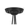 4_Auresa 18" Wide Coal Multi-Light Pendant with Clear Glass more views