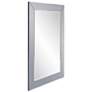 6_Auryn Smoke Gray 30 3/4" x 45 1/2" Rectangular Wall Mirror more views