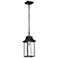 Austen Outdoor Hanging Lantern; 1 Light; Matte Black Finish