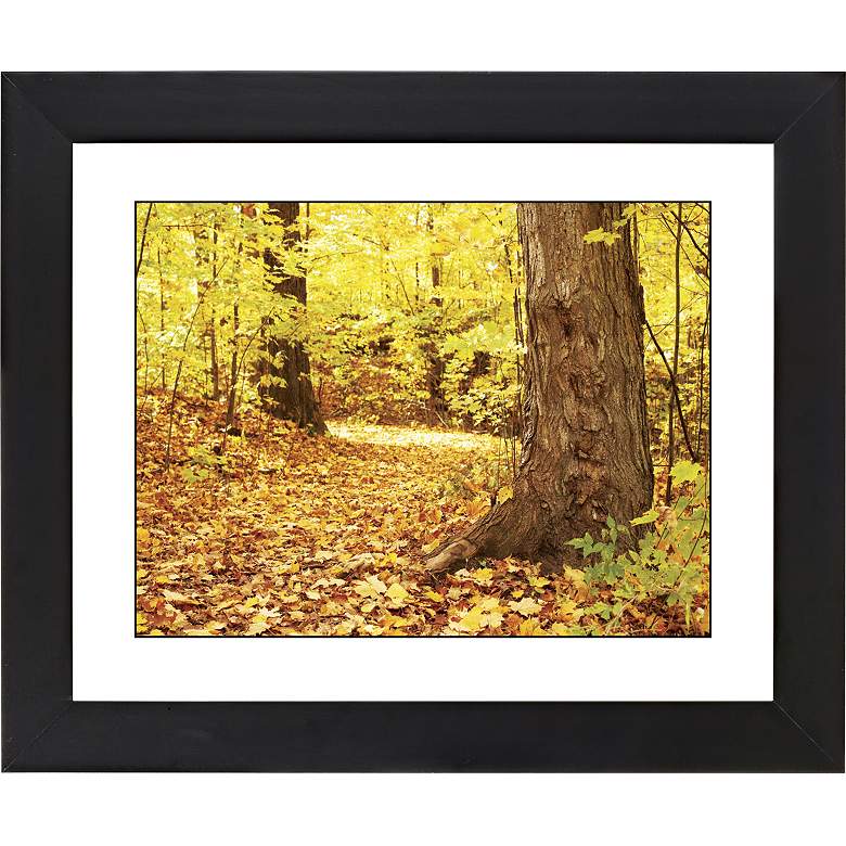 Image 1 Autumn Carpet Black Frame Giclee 23 1/4 inch Wide Wall Art