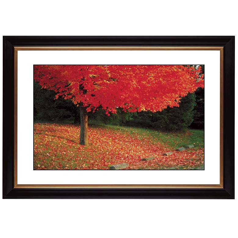 Image 1 Autumn Color Burst Giclee 41 3/8 inch Wide Wall Art