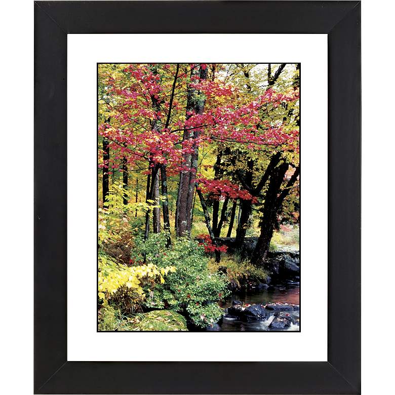 Image 1 Autumn View Black Frame Giclee 23 1/4 inch High Wall Art