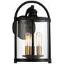 Avani 13" High Black and Brass Outdoor Wall Lantern Light