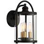 Avani 13" High Black and Brass Outdoor Wall Lantern Light