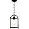 Avani 15" High Black and Brass Outdoor Hanging Light