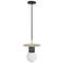 Avenue Lighting The Newport Collection  8" Brushed Brass/Black