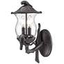 Avian 16 1/2" High Black Coral 2-Light Outdoor Wall Light