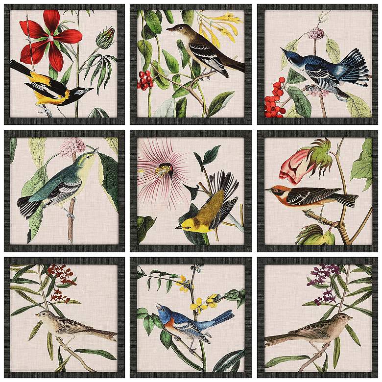Image 1 Avian 17"W x 17"H Framed Art Set of 9