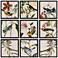 Avian 17"W x 17"H Framed Art Set of 9