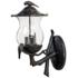 Avian 3-Light Black Coral Wall Light With Seeded Glass