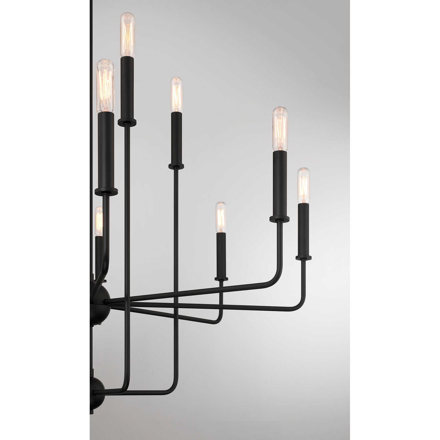 Image 6 Avondale 12-Light Chandelier in Matte Black more views