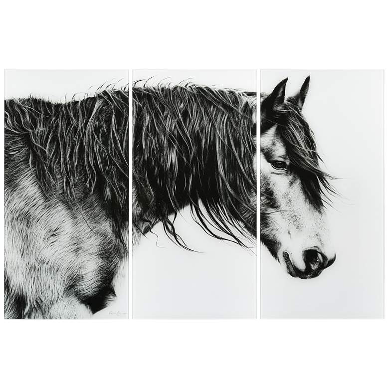 Image 1 B&W Horse ABC Frameless Reverse Printed Tempered Glass Wall Art Set of 3