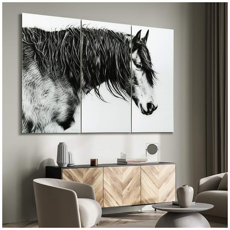 Image 3 B&W Horse ABC Frameless Reverse Printed Tempered Glass Wall Art Set of 3 more views