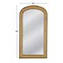 4_Baez Gold 42" x 78" Arched Top Floor Mirror more views