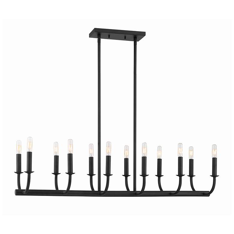 Image 2 Bailey 42" Wide Matte Black 12-Light Linear Chandelier