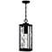 Balchier 1-Light Matte Black Outdoor Hanging Lantern