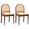 bali & pari Maryland Rattan and Acacia Wood 2 Piece Dining Chair Set