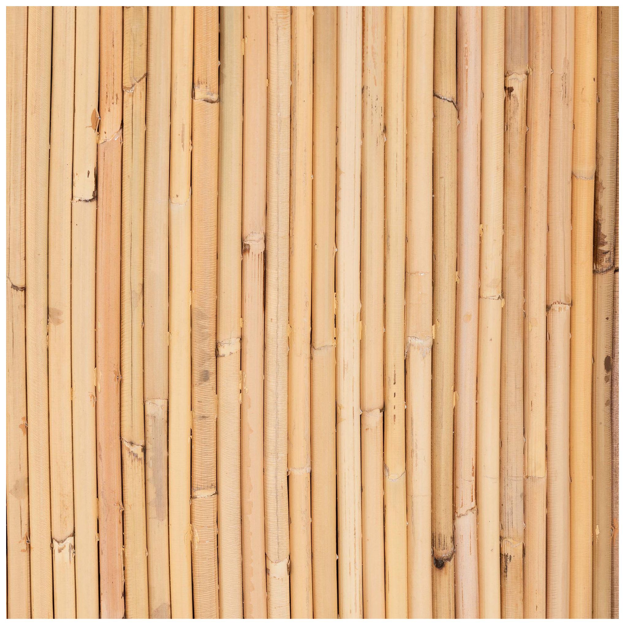 Image 5 bali & pari Miami Bohemian Light Honey Rattan Coffee Table more views