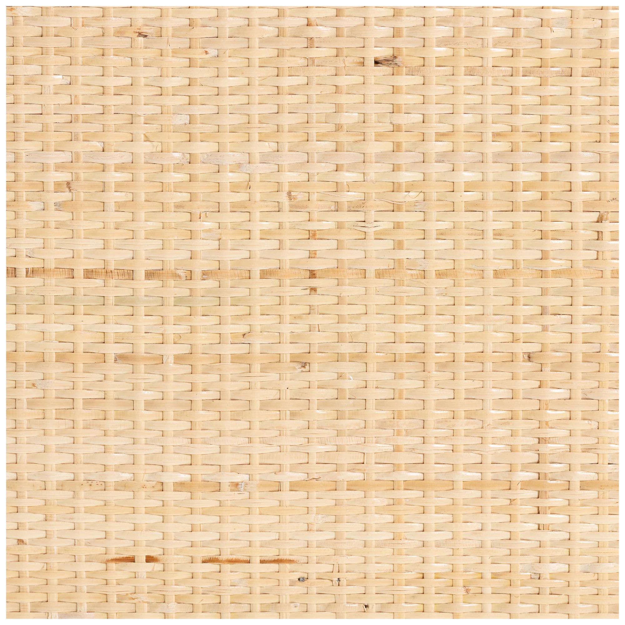 bali & pari Acelin Natural Rattan Storage Cabinet - Accent Console