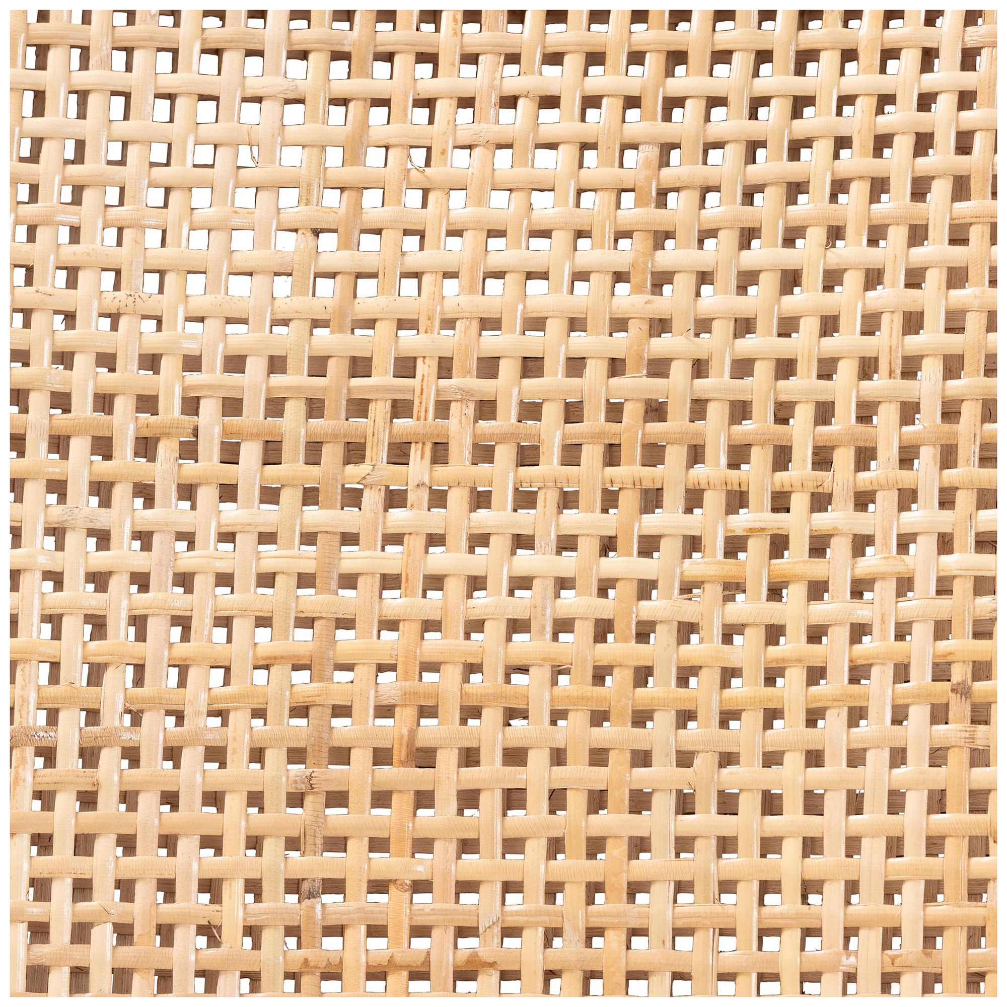 bali & pari Alexis Rattan Counter Stool with Removable Seat Cushion