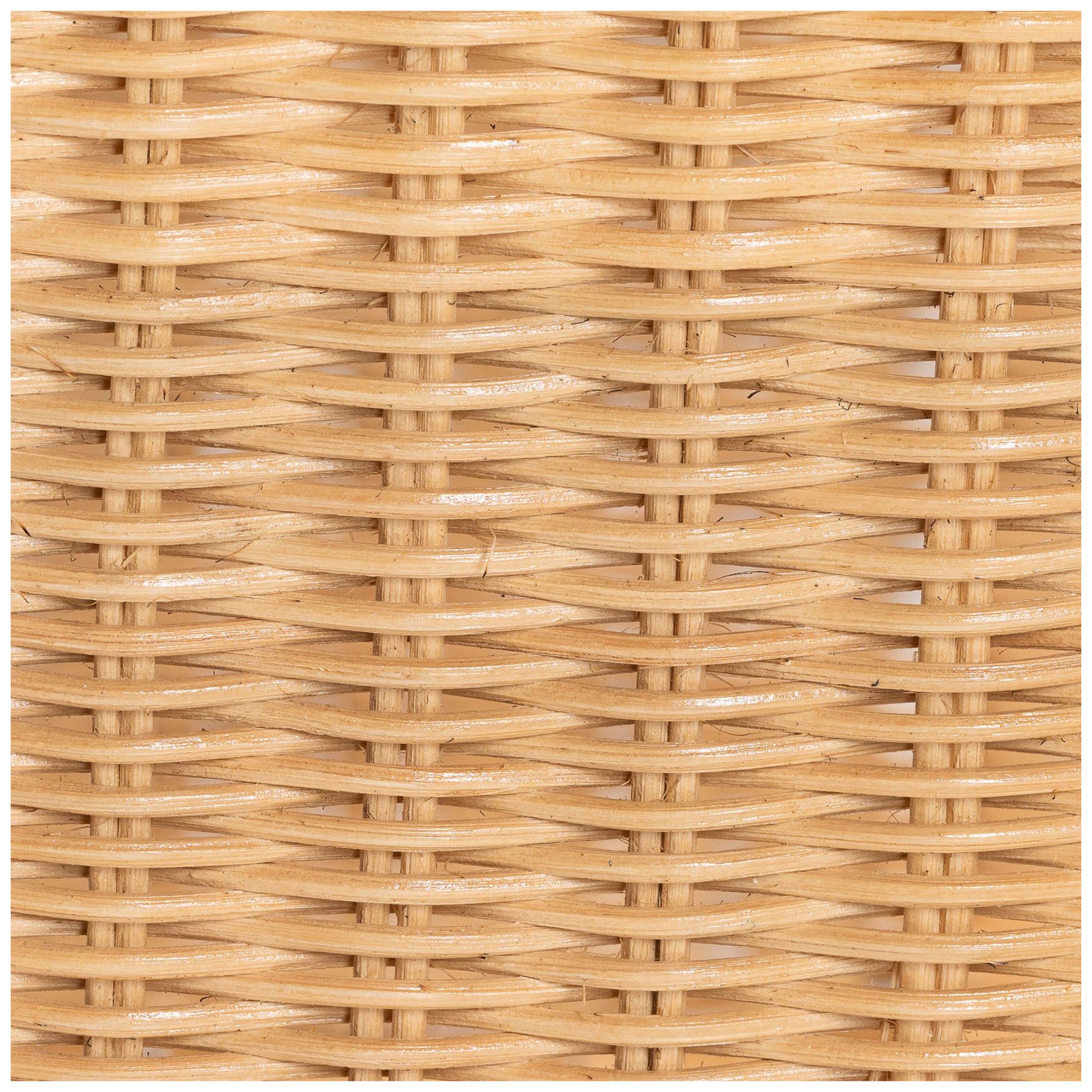 bali & pari Palm Bohemian Light Honey Rattan Dining Chair