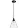Ballston Berkshire 8" Mini Pendant - Oil Rubbed Bronze - Seedy Shade
