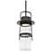 Balthus 15 1/4" High Black LED Outdoor Hanging Light