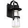 Balthus 16"H x 7"W 1-Light Outdoor Wall Light in Black