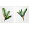 Banana Leaves 32" High 2-Piece Giclee Framed Wall Art Set