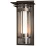 Banded Top Plated Dark Smoke Large Outdoor Sconce With Opal & Seeded Gl