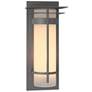 Banded with Top Plate Extra Large Outdoor Sconce - Steel - Opal Glass