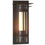 Banded with Top Plate Large Outdoor Sconce - Bronze - Opal and Seeded Glass