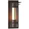 Banded with Top Plate Large Outdoor Sconce - Bronze - Opal and Seeded Glass