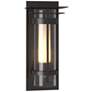 Banded with Top Plate Outdoor Sconce - Bronze - Opal and Seeded Glass