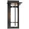Banded with Top Plate Small Outdoor Sconce - Black Finish - Opal Glass