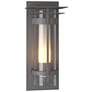 Banded XL Outdoor Sconce with Top Plate - Steel - Opal and Seeded Glass